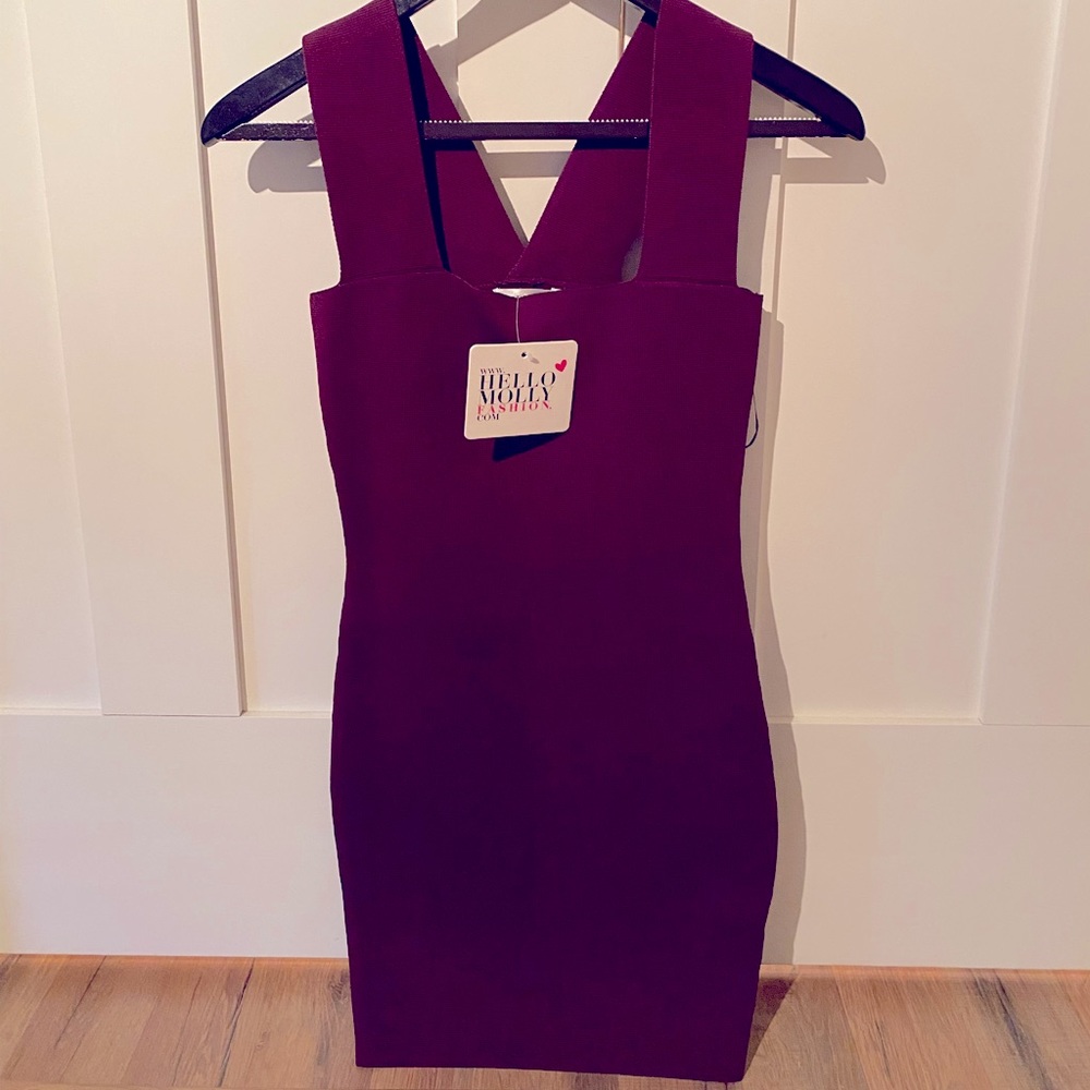 NWT Sexy Hello Molly Dress!